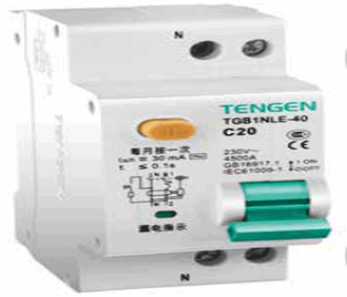 小型漏电断路器 (原DPNLE）45